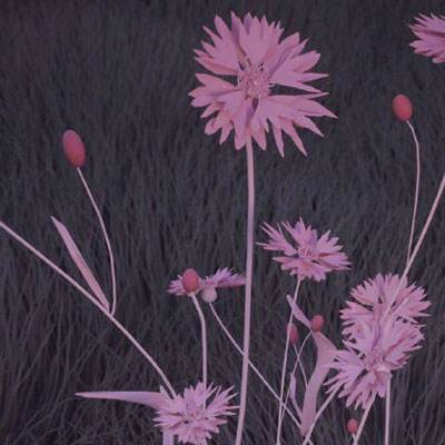 亚搏apo官网下载