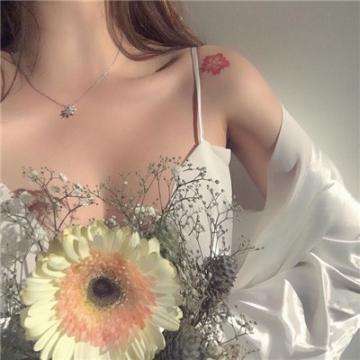 im电竞官方网站下载手机版